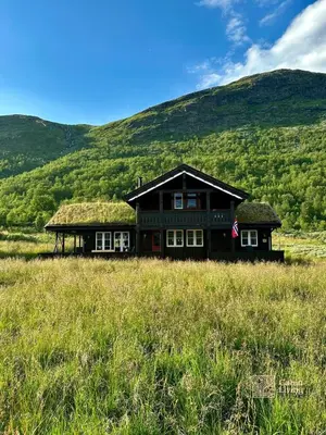 a house with a grass roof in a field at Indoor hot tub, views & nature, cosy family cabin at Filefjell in Tyinkrysset