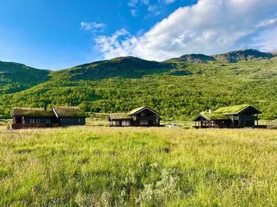 a group of houses in a field with mountains in the background at Indoor hot tub, views & nature, cosy family cabin at Filefjell in Tyinkrysset