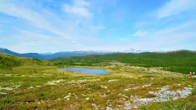 a lake in a field with mountains in the background at Flaksjøen in Venabygd