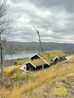 a group of buildings with grass on their roofs at Log Cabin At The Foot Of Hallingskarvet in Hovet