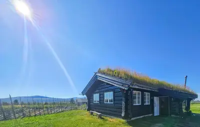 a small house with a grass roof on a field at Lovely Home In Røn With House A Mountain View in Ron