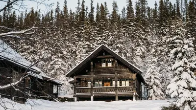a log cabin in the snow with trees at Kvitåvatn Fjellhytter in Gaustablikk