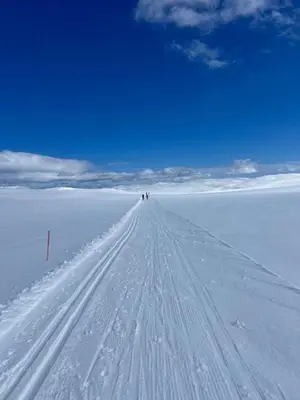 a group of people walking down a snow covered road at Log Cabin With Panoramic Views Of Hallingskarvet in Holo