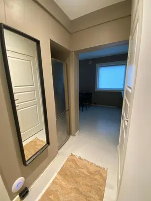 a hallway with a mirror and a door at Dronningens Gate 95, H0301 in Lii