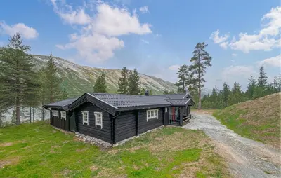 a small black house on a grassy hill at 4 Bedroom Cozy Home In Nordberg in Nordberg