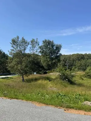 a field of grass with trees and a road at Korssundvegen 230 in Korssund