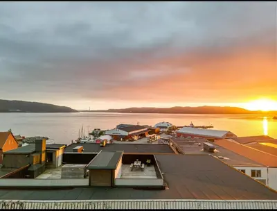 a view of a marina at sunset at Spectacular view 2 roms apartment in Bergen