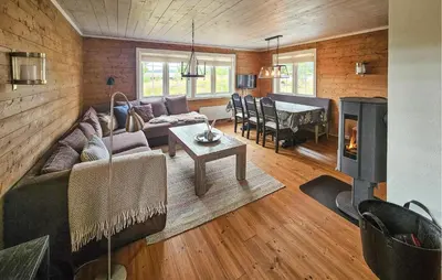 a living room with a couch and a fireplace at Amazing Home In Veggli With Wifi in Veggli