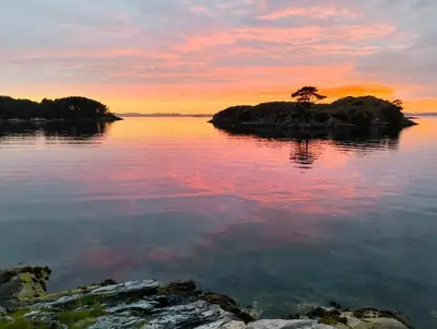 a tree on an island in the water at sunset at Retreat Øklandsnes in Lii