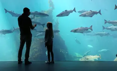 a man and a woman standing in front of a large aquarium at Large city apartment with sea view and parking in Ålesund