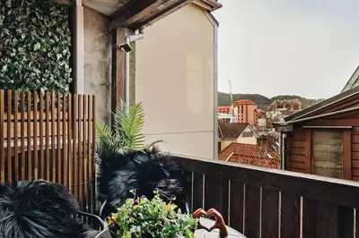 a dog sitting on a balcony looking out a window at Modern & Chic Apartment Luxurious Details in Bergen
