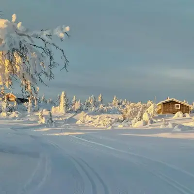 Family Cabin With Firepit At Søndre Fjellstølen