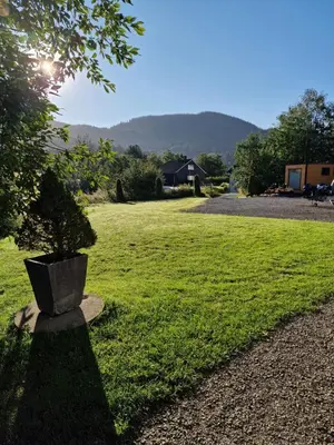 a potted tree sitting in the middle of a field at Cozy apartment close to Trondheim City in Melhus