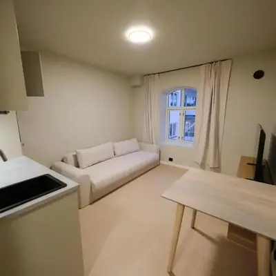 Cozy and practical studio in the city center