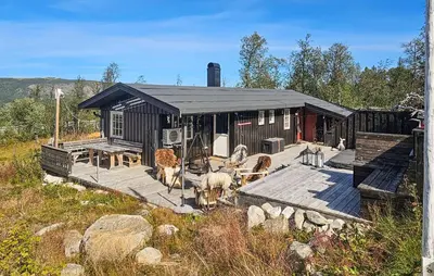 a house with a deck with animals on it at 3 Bedroom Lovely Home In Dagali in Dagali