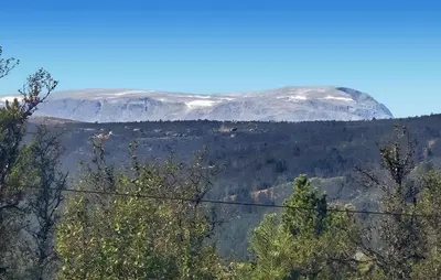 a mountain in the distance with trees in the foreground at 3 Bedroom Lovely Home In Dagali in Dagali