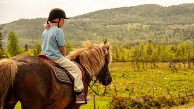 a young boy riding on a horse in a field at Brand new house close 2 Skiresort in Hemsedal