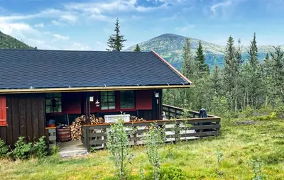 a house in a field with mountains in the background at 3 Bedroom Beautiful Home In Tynset in Tynset