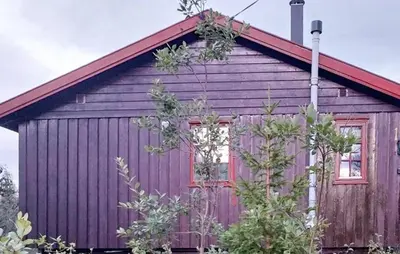 a purple house with a red roof at 3 Bedroom Beautiful Home In Tynset in Tynset