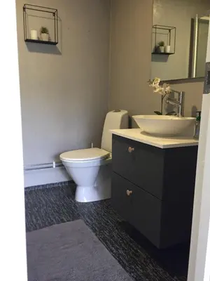 a bathroom with a toilet and a sink at Koselig hus med flott utsikt in Vossevangen