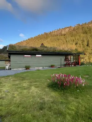 a building with a grass roof and a field with flowers at Storevatn Fritid in Masfjorden