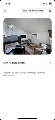 a living room with a bed and a couch at Litla Hyttå, Mosterhamn Bømlo in Mosterhamn