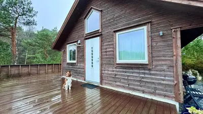 a dog standing on the deck of a house at Litla Hyttå, Mosterhamn Bømlo in Mosterhamn