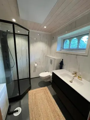 a bathroom with a shower and a sink and a toilet at Small cabin at Seljestad in Utsikten