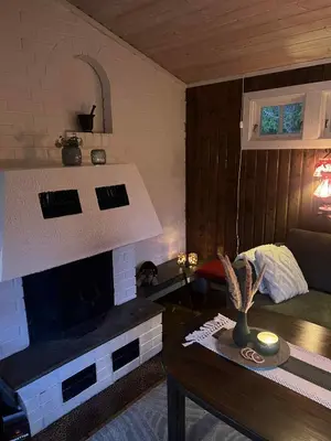 a living room with a fireplace and a table at Cozy lakeside cabin in Trøndelag