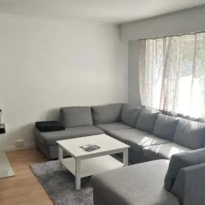 Koselig 3 roms leilighet på Rjukan