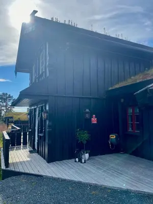 a blue building with a potted plant in front of it at Bjarnebu - 4 bedroom cabin in Rauland in Rauland