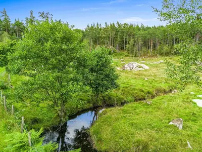 a creek in the middle of a field with trees at Apartment in peacefull surroundings in Ådnavik
