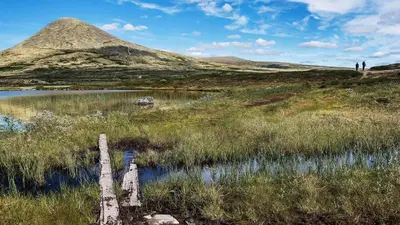a view of a hill with a pond in a field at Fiskebu at Flaksjøen in Venabygd