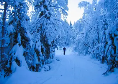 a person is walking down a snow covered path at Soltoppen - cozy 3 bedroom cabin close to Norefjell