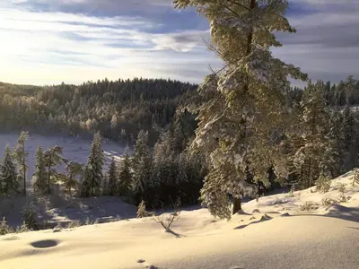a snow covered hill with a tree in the foreground at Soltoppen - cozy 3 bedroom cabin close to Norefjell