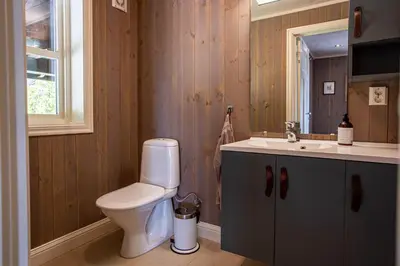 a bathroom with a toilet and a sink at Valdreshytte med peis Klassisk og lun stil in Aurdal