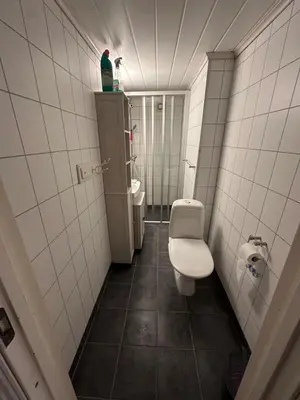 a bathroom with a toilet and a sink at Basement apartment in beautiful Volda in Volda