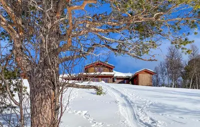 a house in the snow with a tree in the foreground at Stunning Home In Oppdal With Sauna in Oppdal