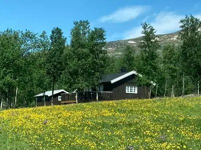 a house on a hill with a field of flowers at Simple Mountain Cabin Near Vinstra in Vinstra