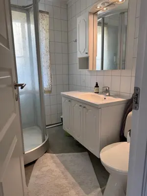 a bathroom with a sink and a shower and a toilet at Vistdal Panoramic View in Myklebostad