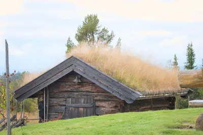 a log cabin with a grass roof at Nydelig hyttetun på Torpoåsen in Torpo