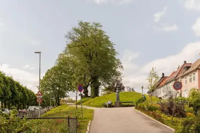 a street in a town with trees and buildings at Cozy loft with king bed in the middle of town in Bergen