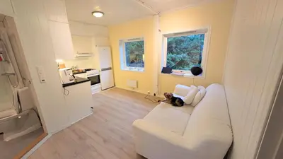 a dog sitting on a couch in a living room at 2 Bedroom central apartment in Bergen