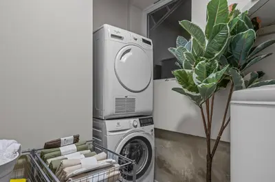 a washing machine in a laundry room with a plant at Large Historic Apartment in the best part of Bergen in Bergen