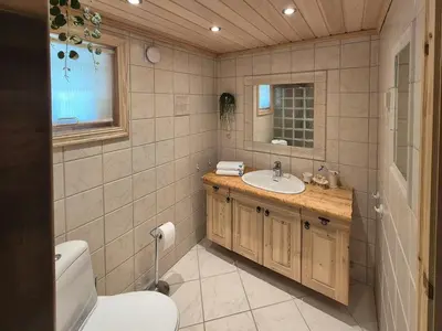 a bathroom with a toilet and a sink at Authentic Cabin Overlooking Lake Møsvann in Rjukan