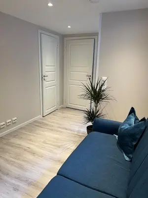 a living room with a blue couch and a plant at Free parking grand floor Apartment in Ålesund in Ålesund
