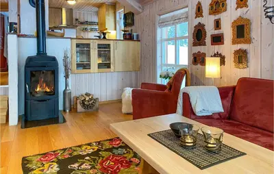 a living room with a wood stove in a room at Amazing Home In Lesjaverk With Wi-Fi in Bjorli