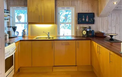 a kitchen with wooden cabinets and a sink at Amazing Home In Lesjaverk With Wi-Fi in Bjorli