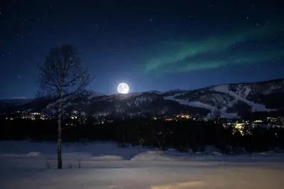 a tree in a field at night with the moon at Geilotunet Apartment - close to everything, free parking in garage, EV in Geilo