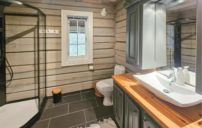 a bathroom with a sink and a shower and a toilet at Cozy Home In Rauland With Wifi in Rauland